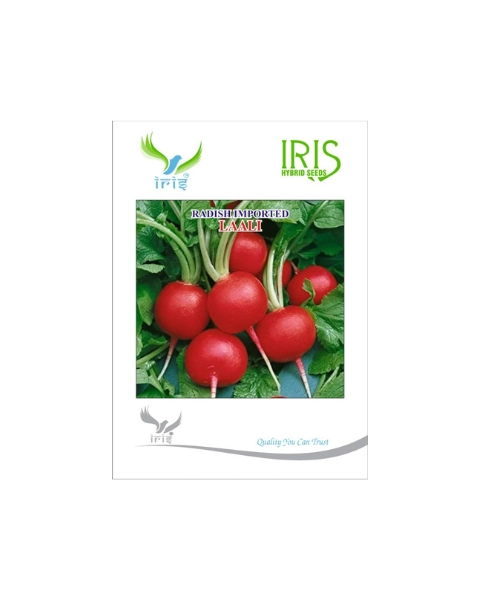 IRIS HYBRID IMPORTED LAALI RADISH (RED)