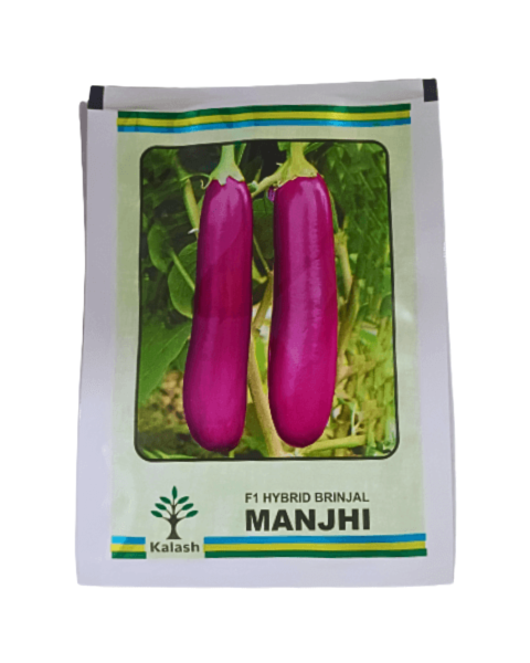 Kalash Manjhi F1 Hybrid brinjal Seeds