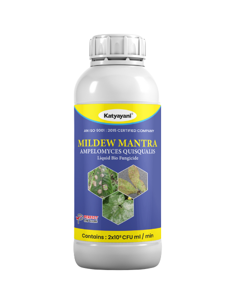 KATYAYANI AMPELOMYCES QUISQUALIS (BIO FUNGICIDE)