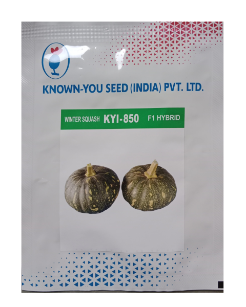 KYI-850 Winter Squash