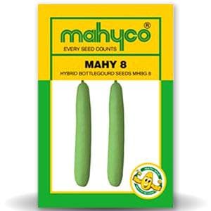 MAHY 8 BOTTLE GOURD ( माहिको 8 लौकी )