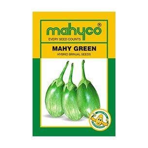 MAHY GREEN BRINJAL