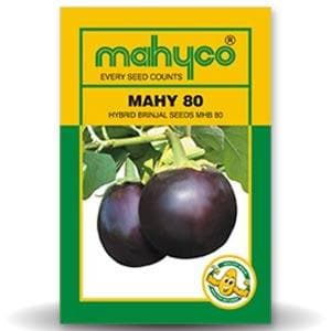 MAHY MHB-80 BRINJAL