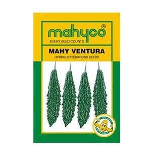 VENTURA BITTERGOURD ( वेंचुरा करेला )