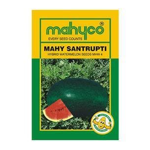 MAHY SANTRUPTI WATERMELON SEEDS