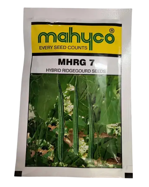 MHRG 7 HYBRID RIDGE GOURD SEEDS