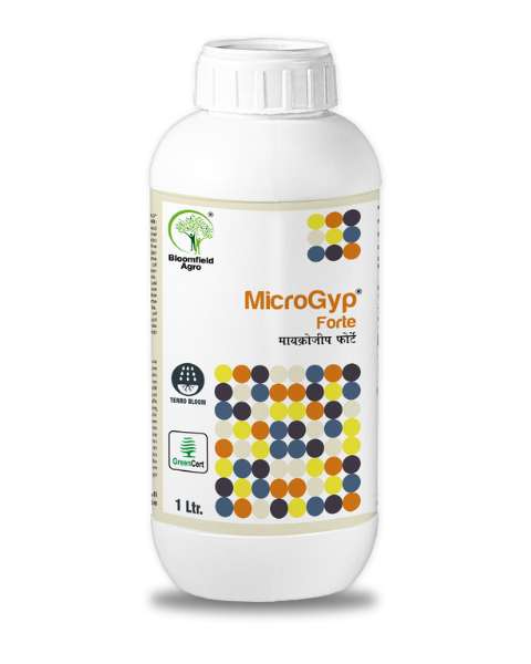 BLOOMFIELD MICROGYP FORTE