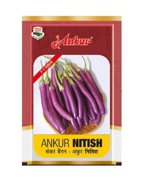 Nitish Brinjal Seeds