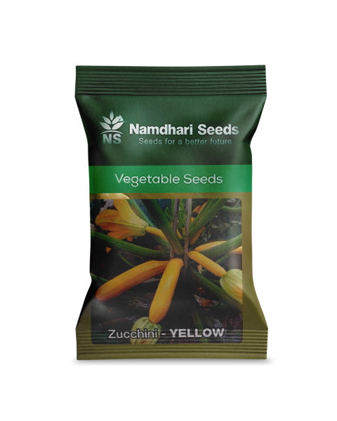 NS 10652 Zucchini Long Yellow