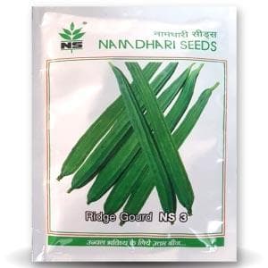 NS 3 F1 Hybrid Ridge Gourd Seeds