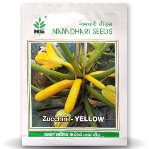 NS 9823 F1 Hybrid Long Yellow Zucchini Seeds
