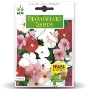 NS F1 Hybrid Vinca Pacifica Mix Flower Seeds