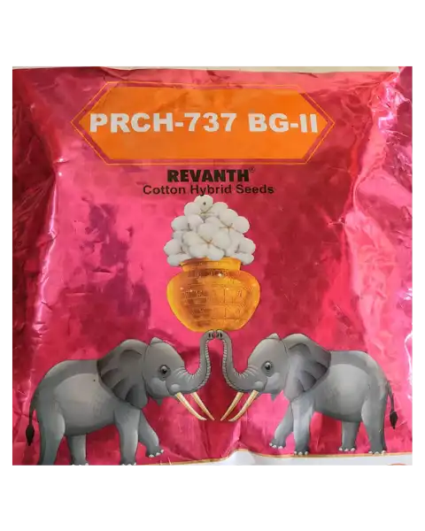 PRCH-737 BG-II REVANTH