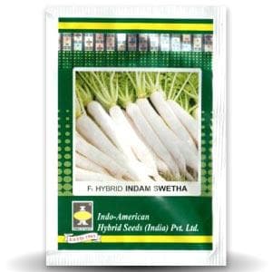 INDAM SWETHA RADISH ( मूली )
