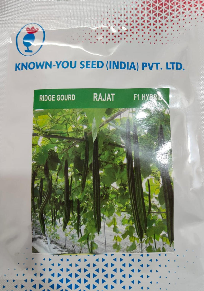 RAJAT RIDGE GOURD