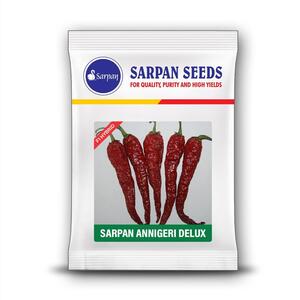 SARPAN F1 – ANNIGERI DELUX CHILLI