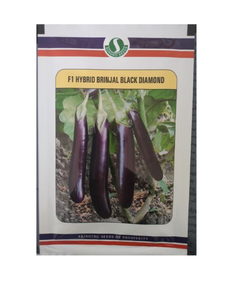 Sungro Black Diamond Brinjal Seeds
