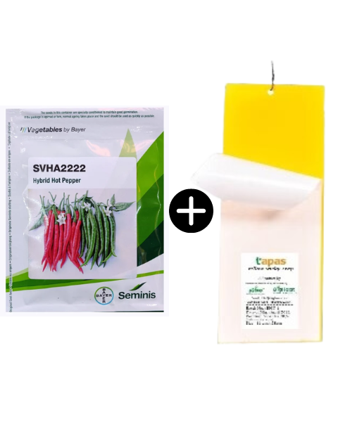 SVHA 2222 Chili(10gms) + Tapas Yellow Sticky Trap 11cm x 28cm(Pack of 10)