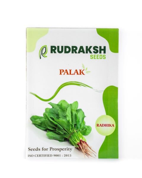 RUDRAKSH SPINACH-RADHIKA(ALL GREEN) - Spinach