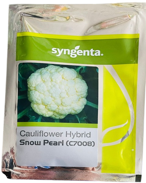 SNOW PEARL (C-7008) - Cauliflower