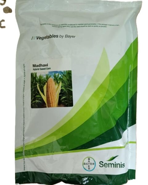 Madhavi Sweet corn