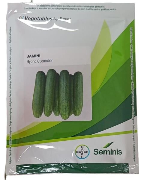 JAMINI HYBRID - Cucumber
