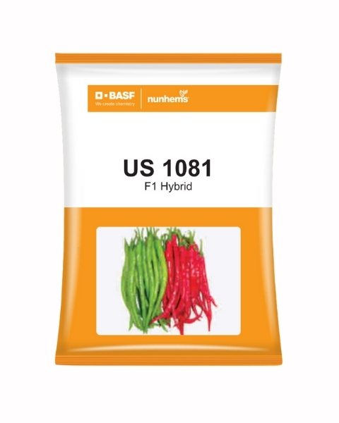 US 1081 CHILLI