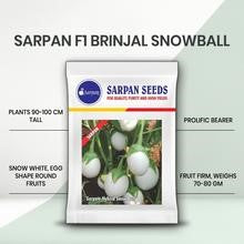 SARPAN HYBRID- SNOW BALL BRINJAL