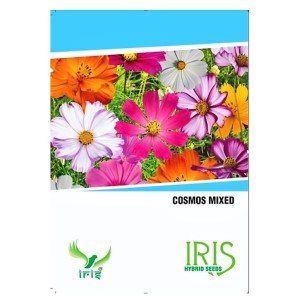 IRIS HYBRID FLOWER COSMOS MIX SEEDS