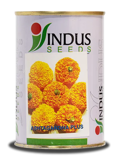 ASHTAGANDHA PLUS MARIGOLD SEEDS, SUITABLE FOR LONG DISTANCE SHIPPING
