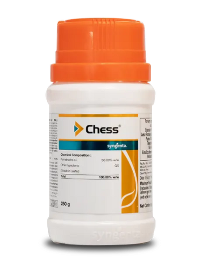 Chess Insecticide