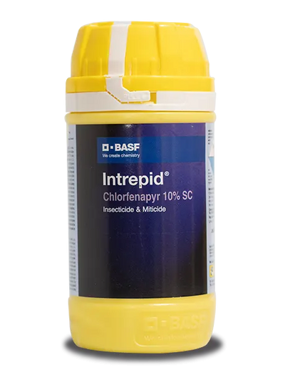 Intrepid Insecticide