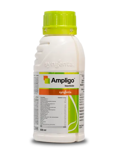 Ampligo Insecticide