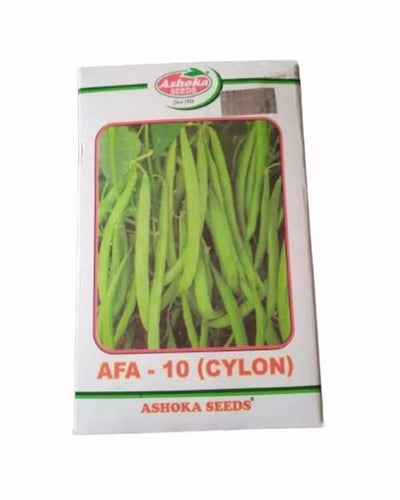 AFA 10 CYLON BEANS - SEEDS