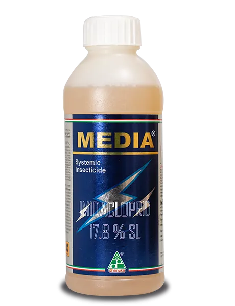 Media Insecticide