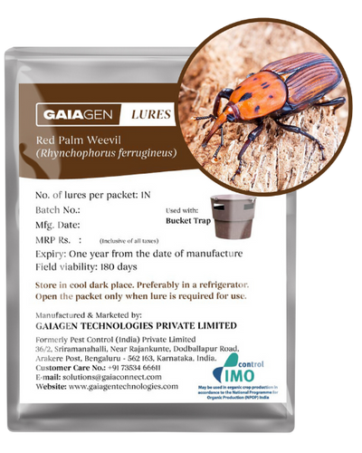 GAIAGEN PHEROMONE LURE FOR RED PALM WEEVIL