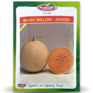 AKASH MUSK MELON - SEEDS