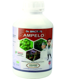 ANAND DR BACTO'S AMPELO