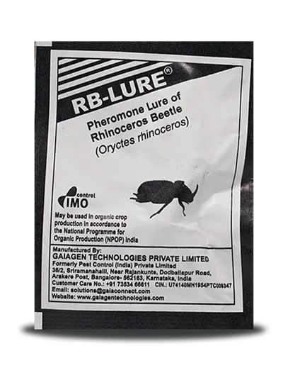 RHINOCEROS BEETLE LURE Pest Control India