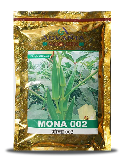 MONA 002 BHENDI