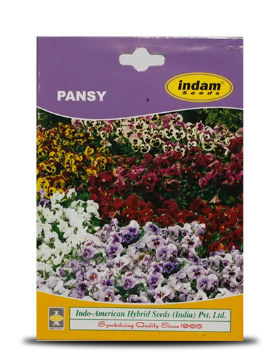 PANSY FLOWER