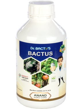 ANAND DR BACTO'S BACTUS