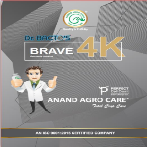 ANAND DR. BACTO’S BRAVE 4K