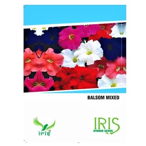 IRIS BALSAM MIX FLOWER SEEDS