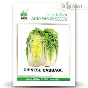 NS 1457 CHINESE CABBAGE