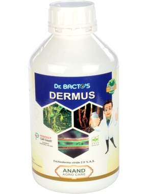 ANAND DR BACTO'S DERMUS