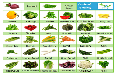 PACK OF 32 VARIETY OF VEGETABLES, FRUITS AND HERBS SEEDS FOR KITCHEN GARDEN