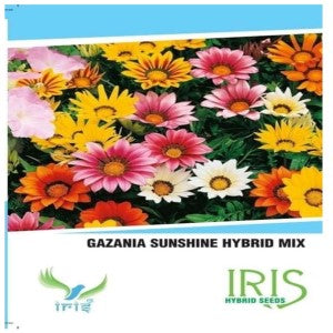 IRIS GAZANIA SUNSHINE MIX FLOWER SEEDS