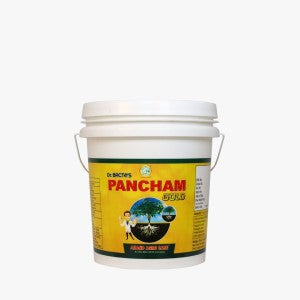 ANAND DR BACTO'S PANCHAM GOLD GRANULE