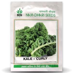 NS KALE CURLY